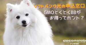 白い犬の画像